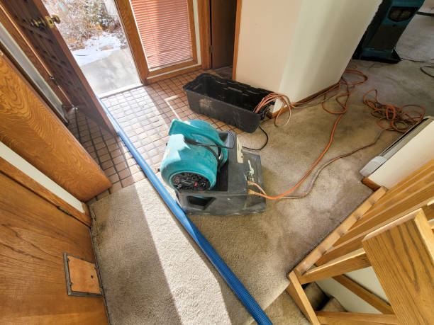 Best Flood damage cleanup  in Simpson, PA